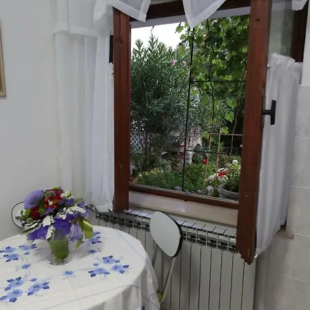 Biba * Novi Vinodolski