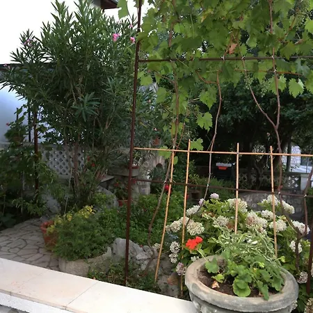 Apartment Biba